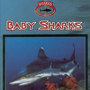 cover image of Sharks: Baby Sharks